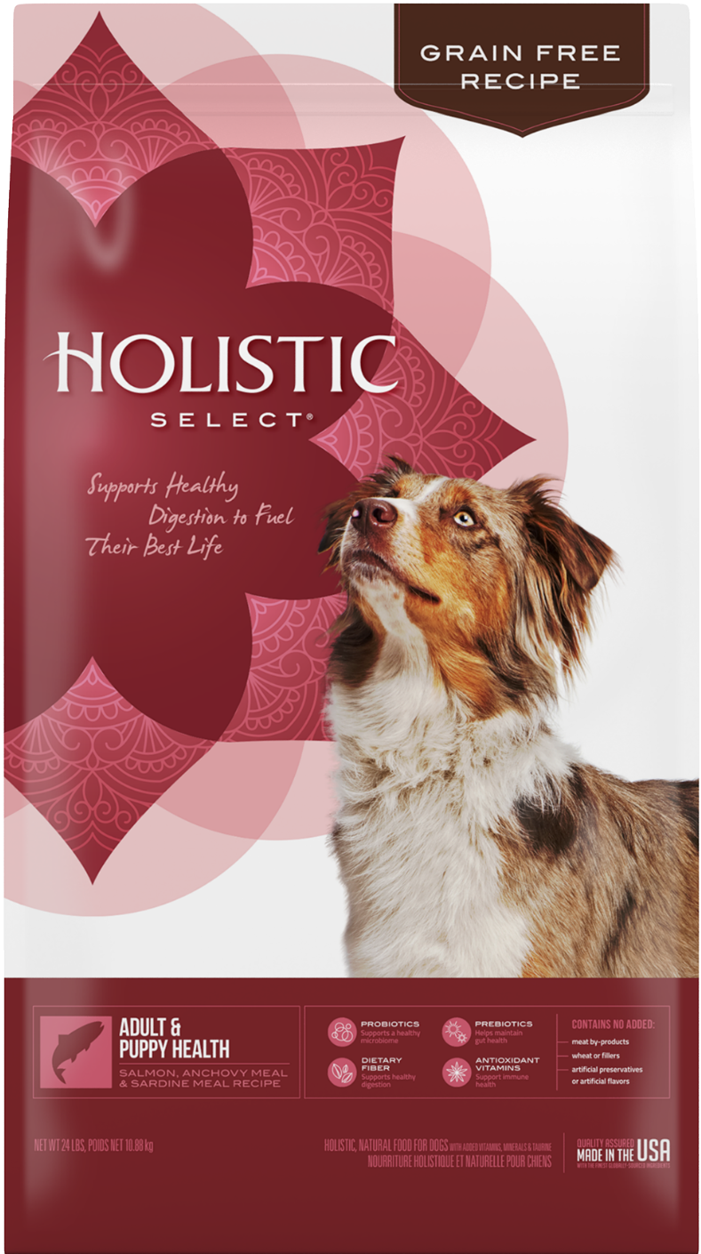 Holistic salmon cheap dog food